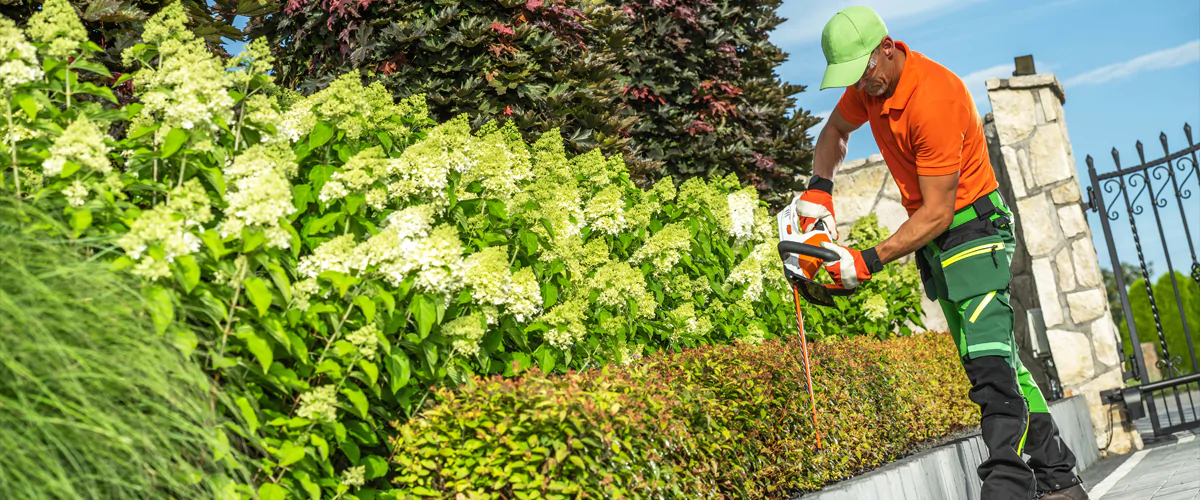 Mitarbeiter schneidet eine Hecke präzise zu, um den Garten gepflegt zu halten.