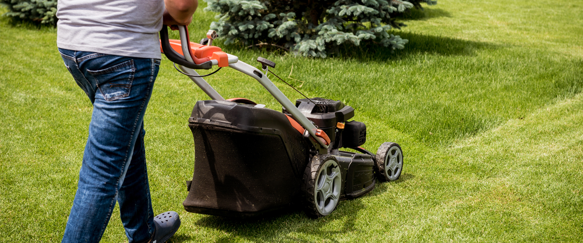 Mitarbeiter mäht den Rasen, um eine gleichmäßige und gepflegte Grünfläche zu erhalten.