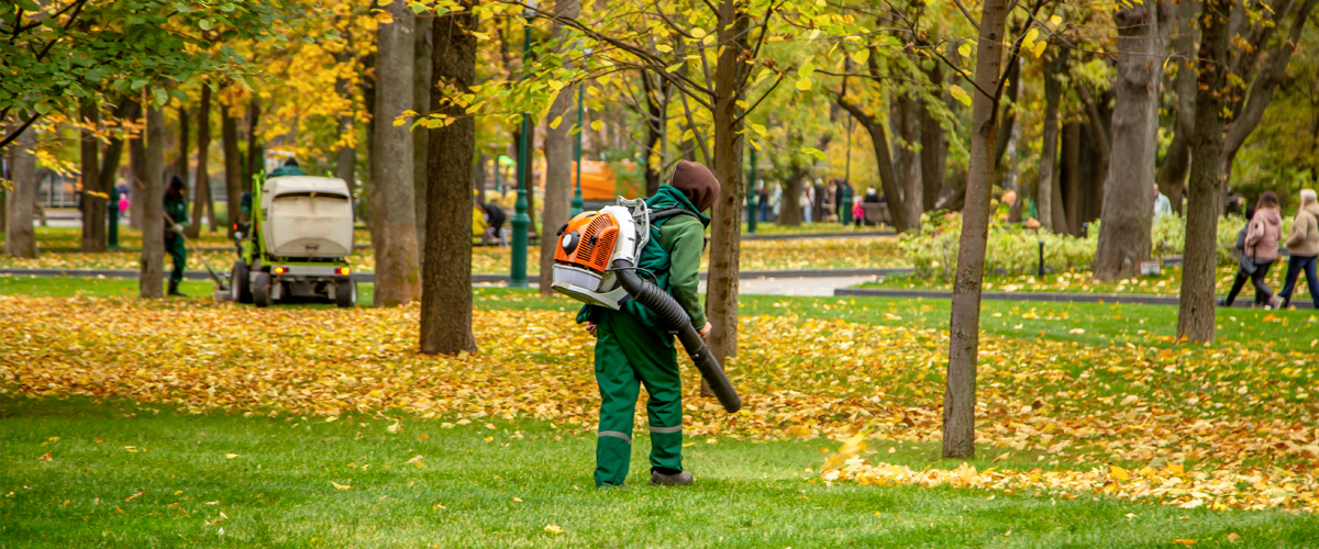 Mitarbeiter entfernt Laub mit einem Laubbläser, um Wege und Grünflächen sauber zu halten.