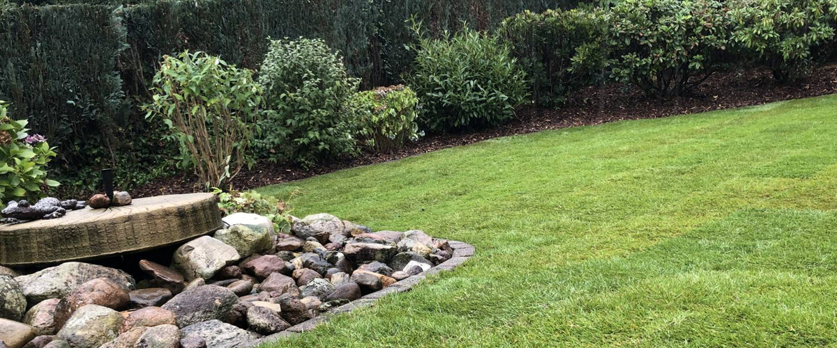 Gartenpflege mit Rasenmähen, Heckenschnitt und Unkrautentfernung für ein sauberes und gepflegtes Gesamtbild.