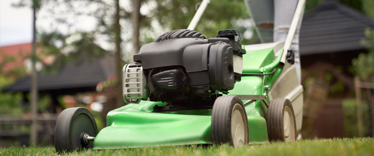 Rasen wird gemäht, um eine gleichmäßige und gepflegte Grünfläche zu erhalten.